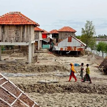 Piloting Climate and Flood Resilient Housing (CFRH) in the Teesta Floodplains, Bangladesh