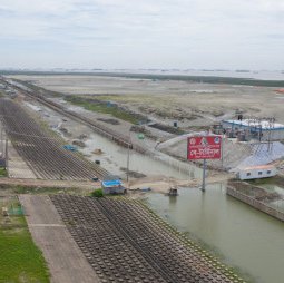 Bay Terminal Project of the Chattogram Port Authority - Collecting and analyzing data of breakwater and navigation channel, aquatic ecosystem analysis, and biodiversity assessment.